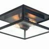 Franssen Franssen Plafondlamp Lofoten Landelijk Zwart - 12V