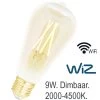 Franssen Wiz Ledlamp 2000k-4500k Wifi Hoog