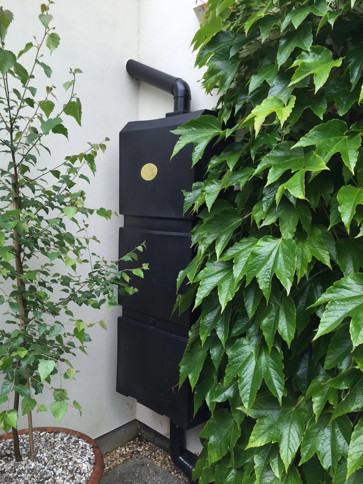 Prestige Wand Regenton Zwart 100L (incl. Plastic Kraantje) - Afbeelding 2