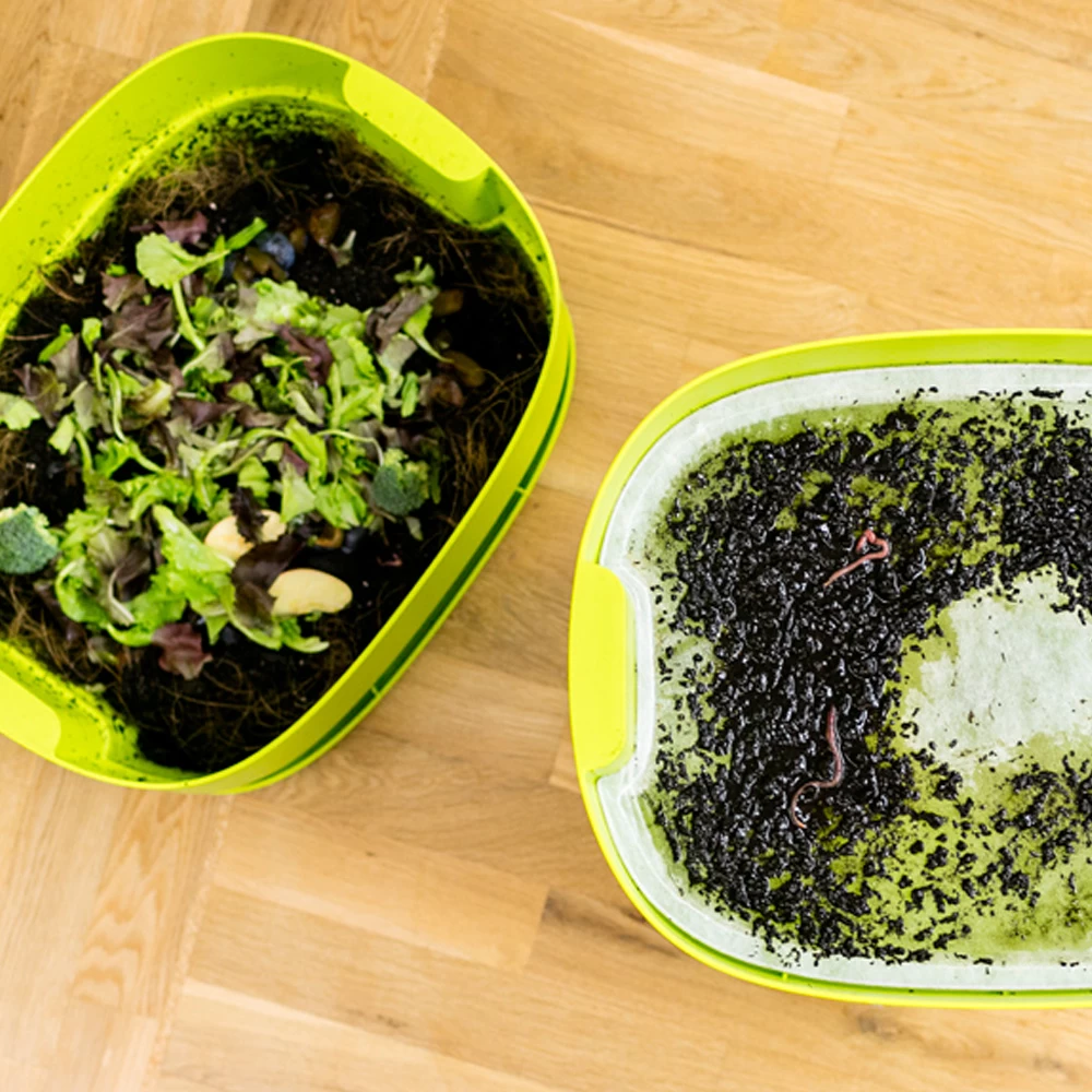 Worm Composter Lime - Afbeelding 3
